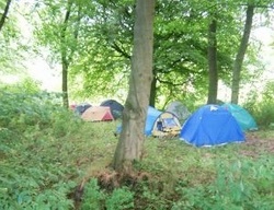 Camp06