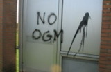 Pic: Graffiti