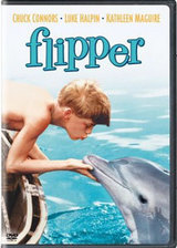 Flipper