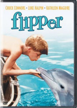 Flipper